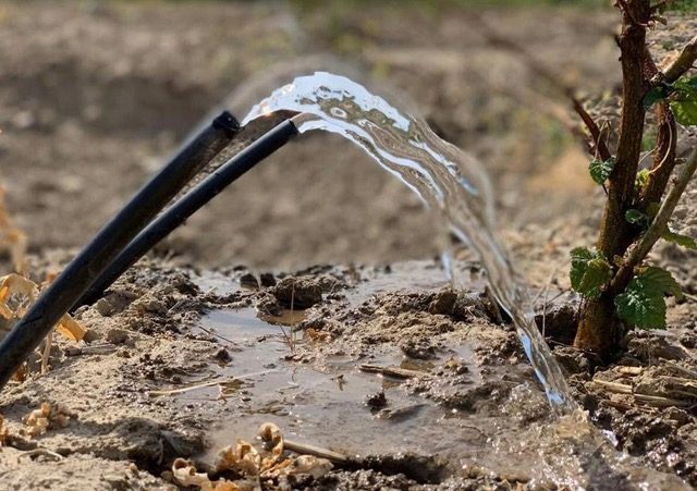 Agua saliendo de una tubería de riego sobre el suelo